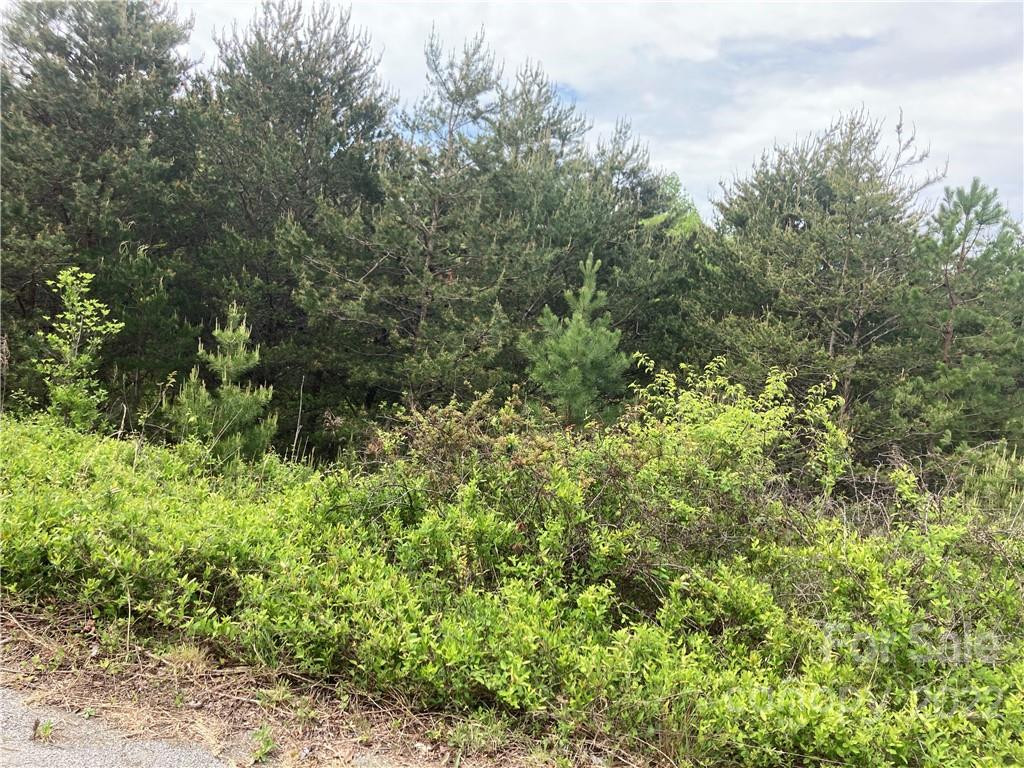 V/L Virginia Ridge #56 - Photo 2