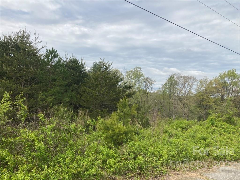 V/L Virginia Ridge #56 - Photo 3