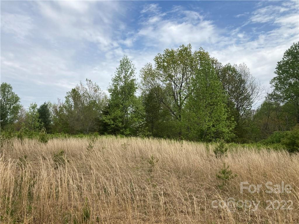 V/L Virginia Ridge #67 - Photo 2