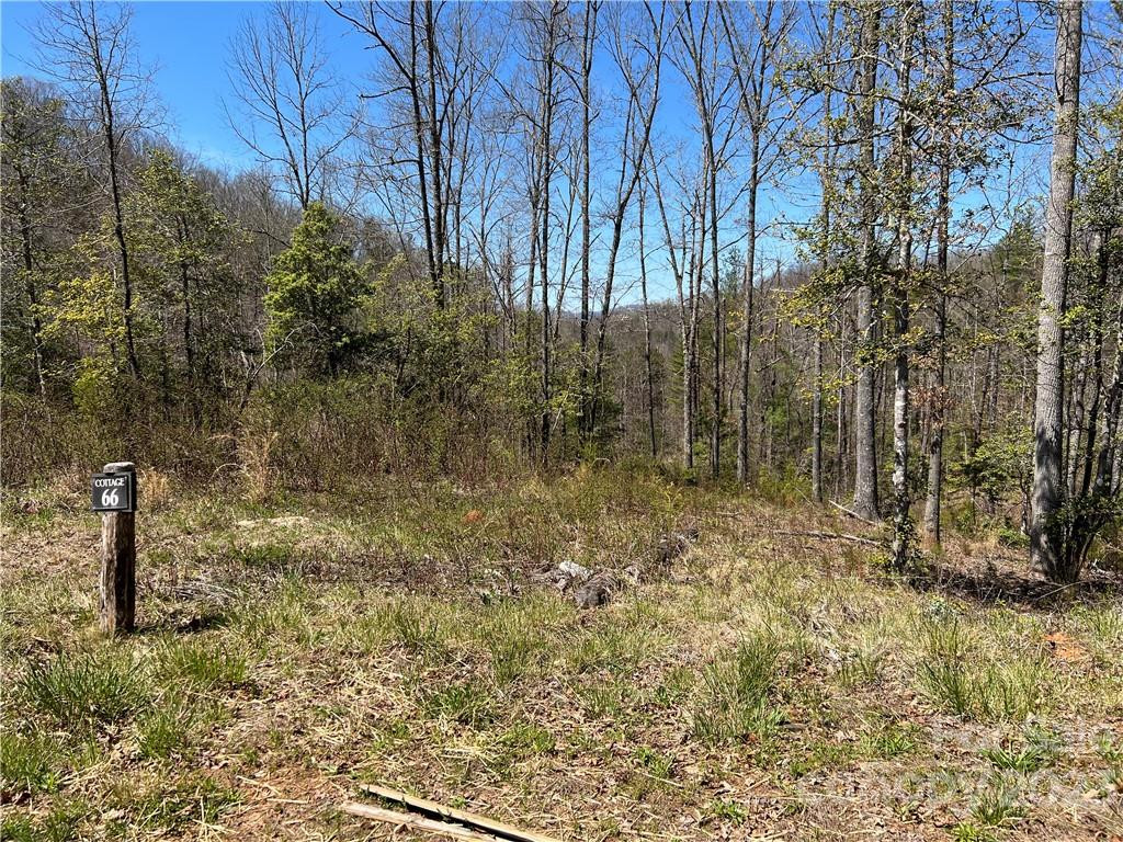 00 River Club Drive #66 - Photo 4