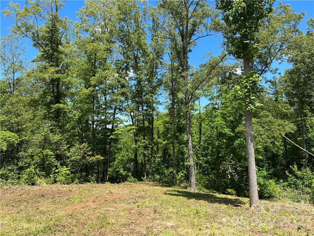 00 River Club Drive #66 - Photo 8