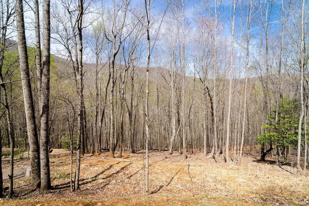 808 Stoney Stream Lane