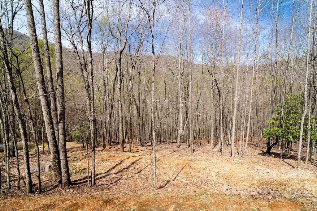 808 Stoney Stream Lane - Photo 2