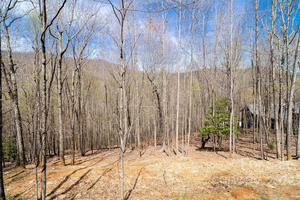 808 Stoney Stream Lane - Photo 3