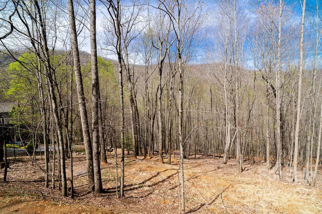 808 Stoney Stream Lane - Photo 4