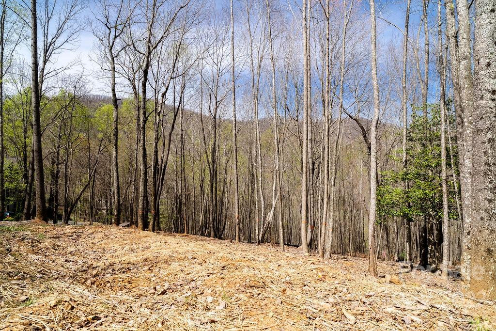 808 Stoney Stream Lane - Photo 5