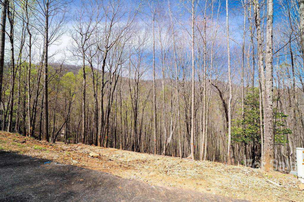 808 Stoney Stream Lane - Photo 6