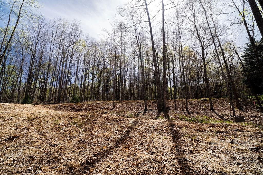 808 Stoney Stream Lane - Photo 7