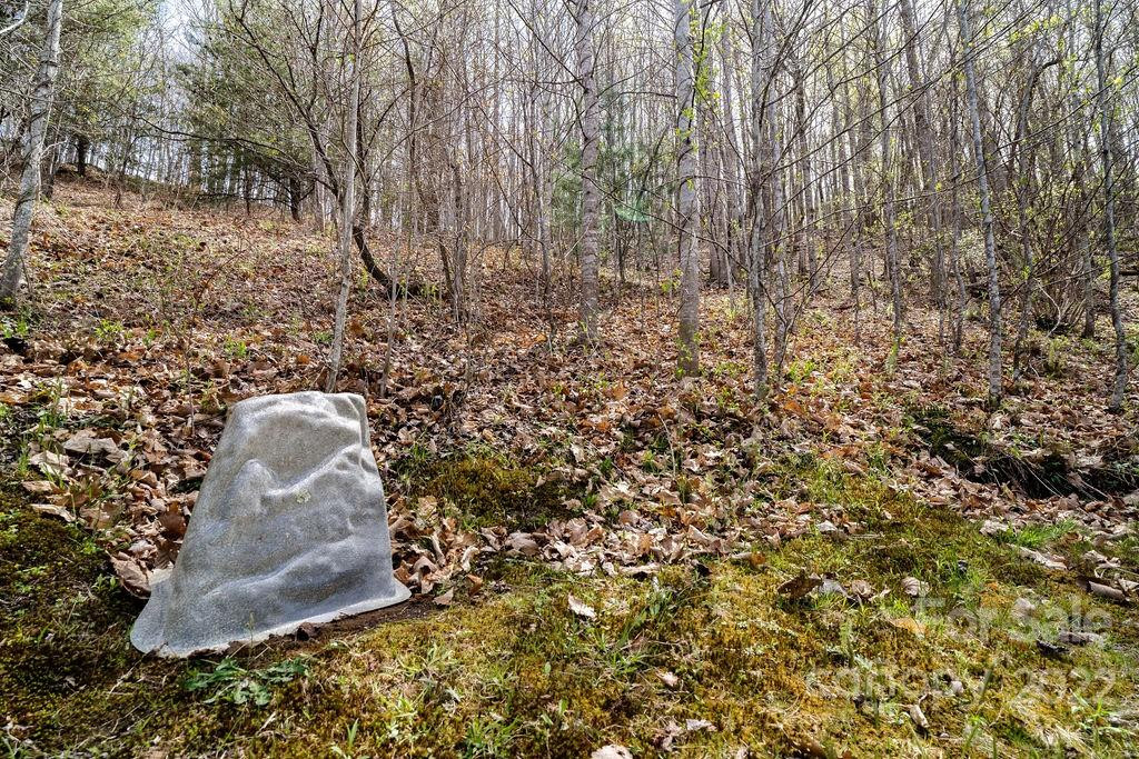 808 Stoney Stream Lane - Photo 8