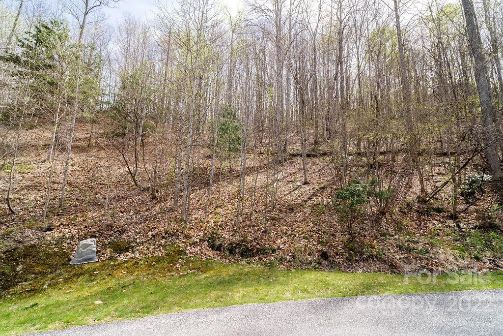 808 Stoney Stream Lane - Photo 9