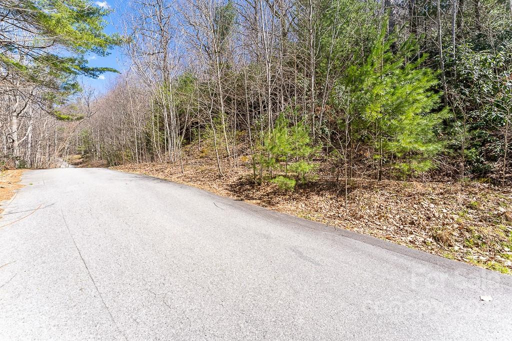 99999 Bartlett Mountain Road #11A - Photo 11