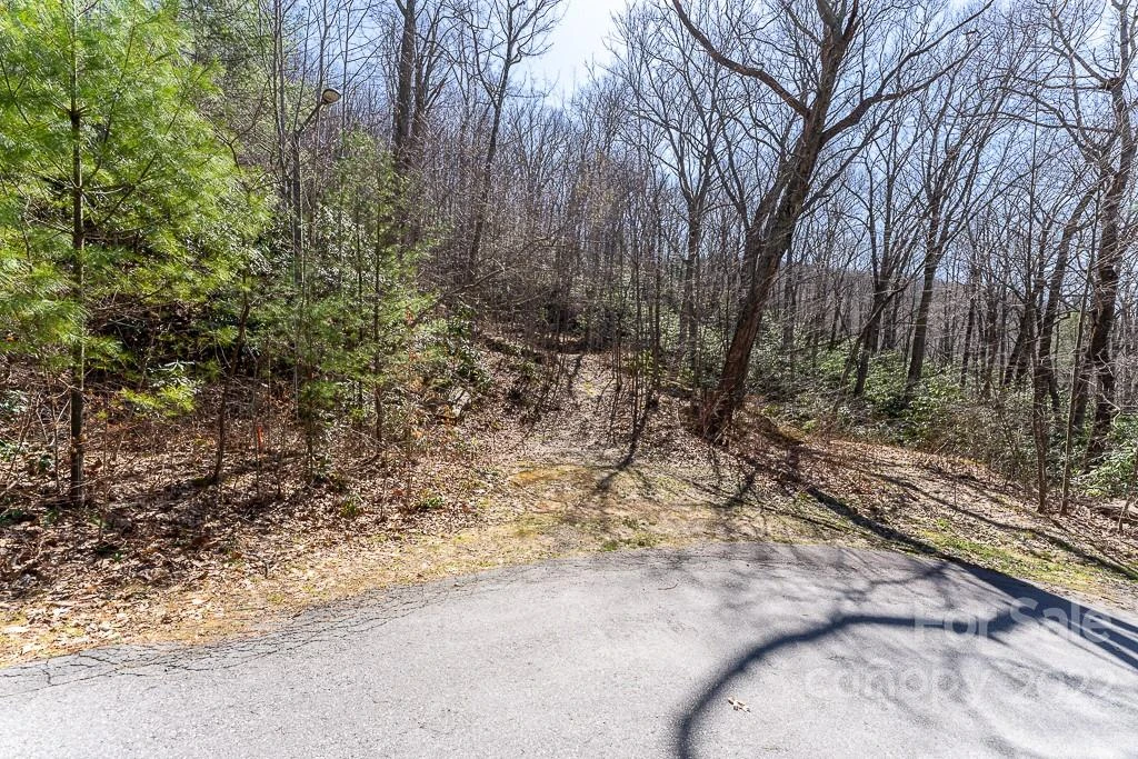 99999 Bartlett Mountain Road #11A - Photo 12