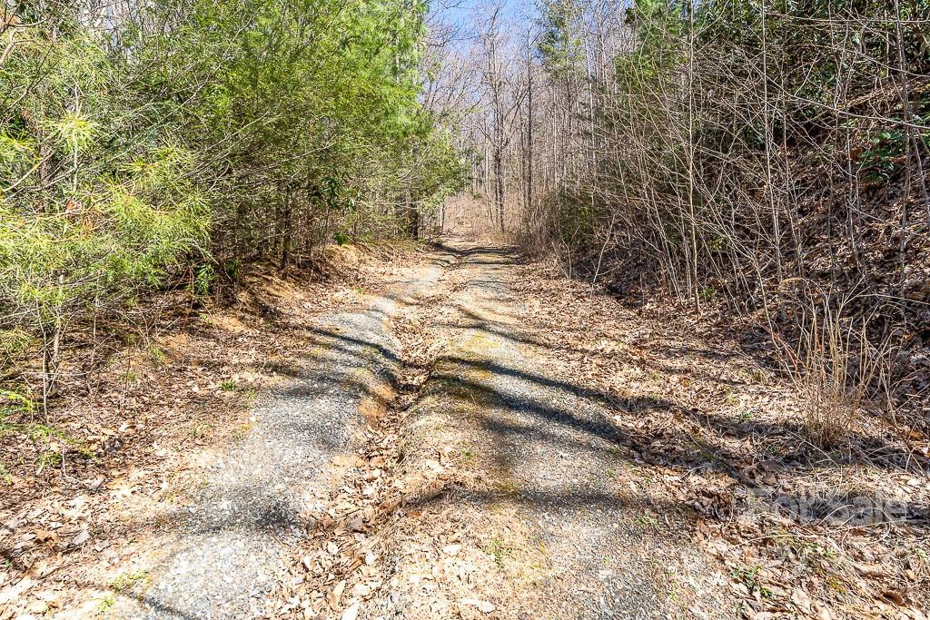 99999 Bartlett Mountain Road #11A - Photo 14