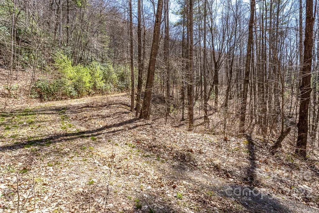 99999 Bartlett Mountain Road #11A - Photo 15
