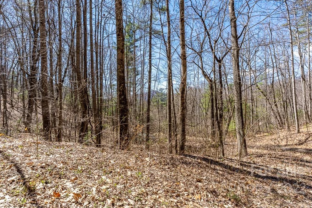 99999 Bartlett Mountain Road #11A - Photo 16