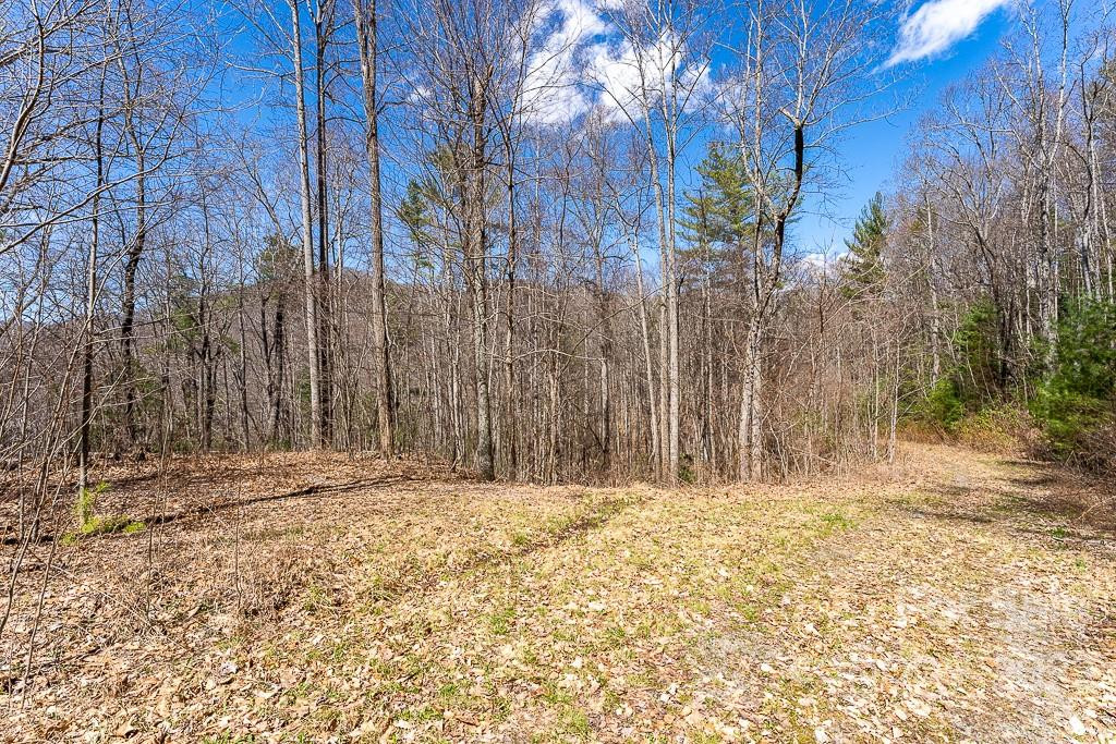 99999 Bartlett Mountain Road #11A - Photo 17