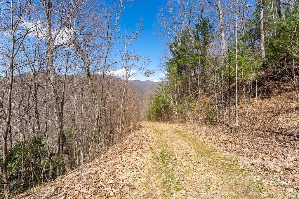 99999 Bartlett Mountain Road #11A - Photo 19