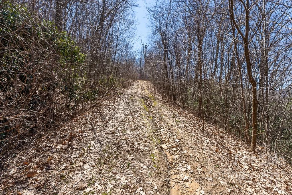 99999 Bartlett Mountain Road #11A - Photo 20