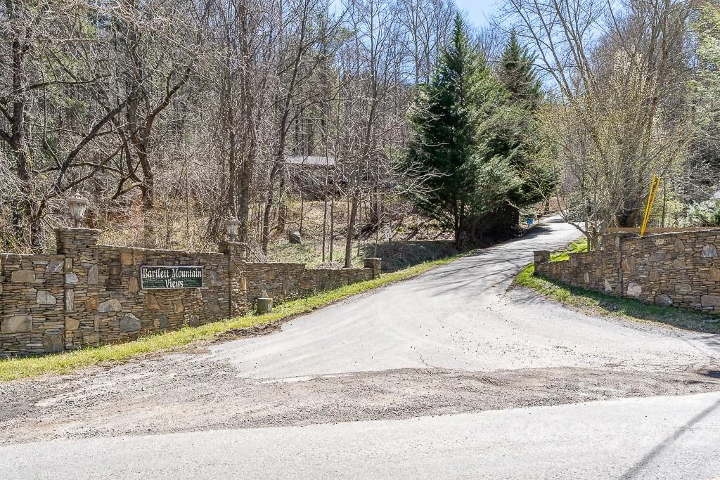 99999 Bartlett Mountain Road #11A - Photo 3