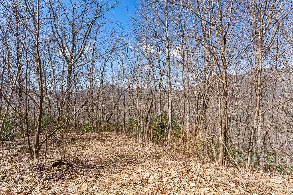 99999 Bartlett Mountain Road #11A - Photo 21