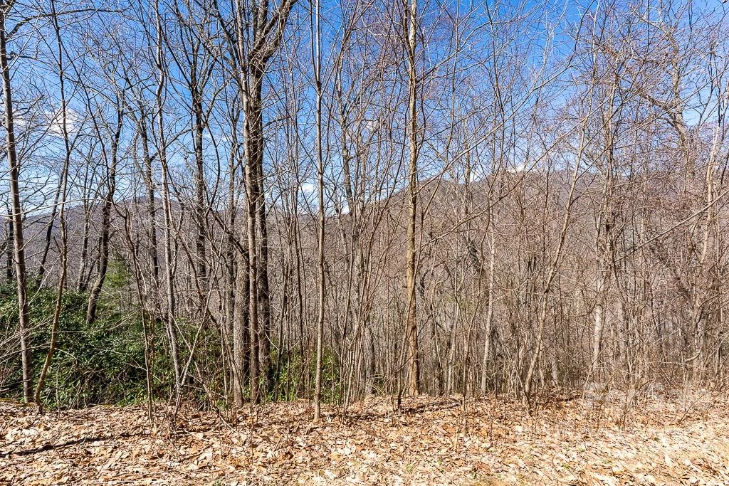 99999 Bartlett Mountain Road #11A - Photo 22