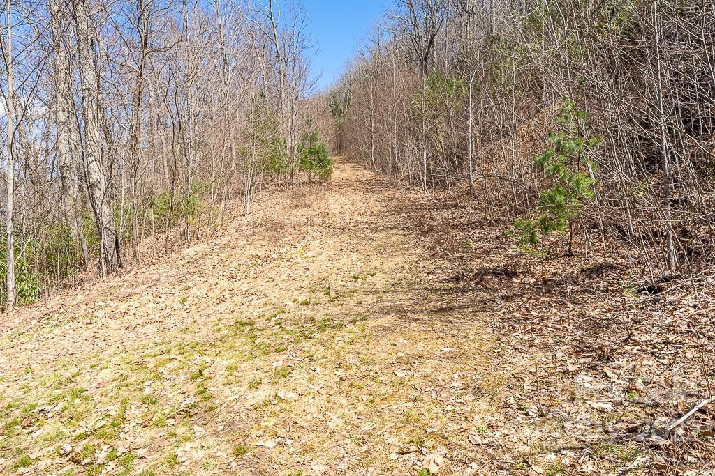 99999 Bartlett Mountain Road #11A - Photo 23