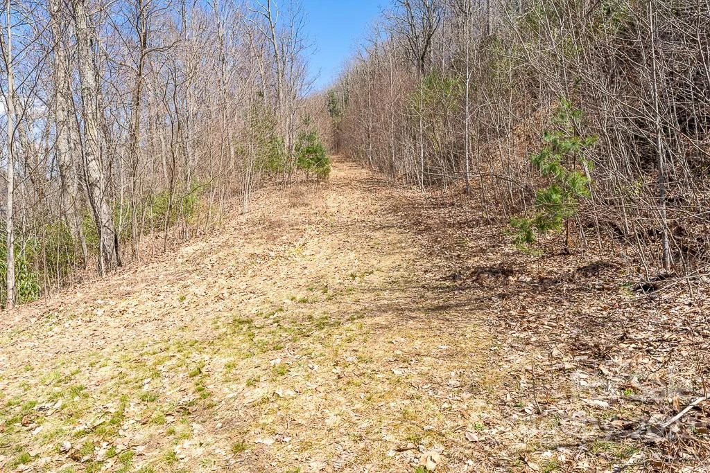 99999 Bartlett Mountain Road #11A - Photo 23