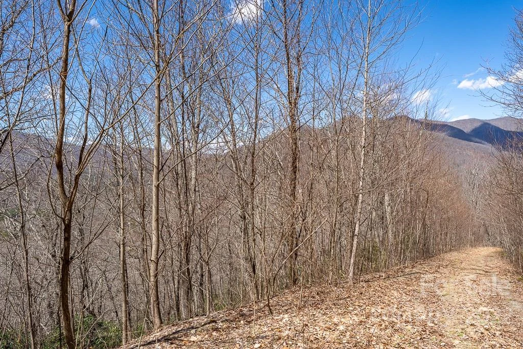 99999 Bartlett Mountain Road #11A - Photo 24