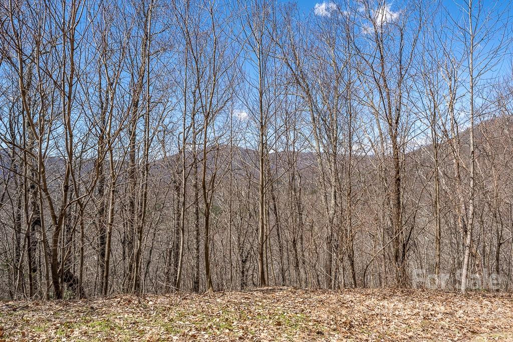 99999 Bartlett Mountain Road #11A - Photo 25