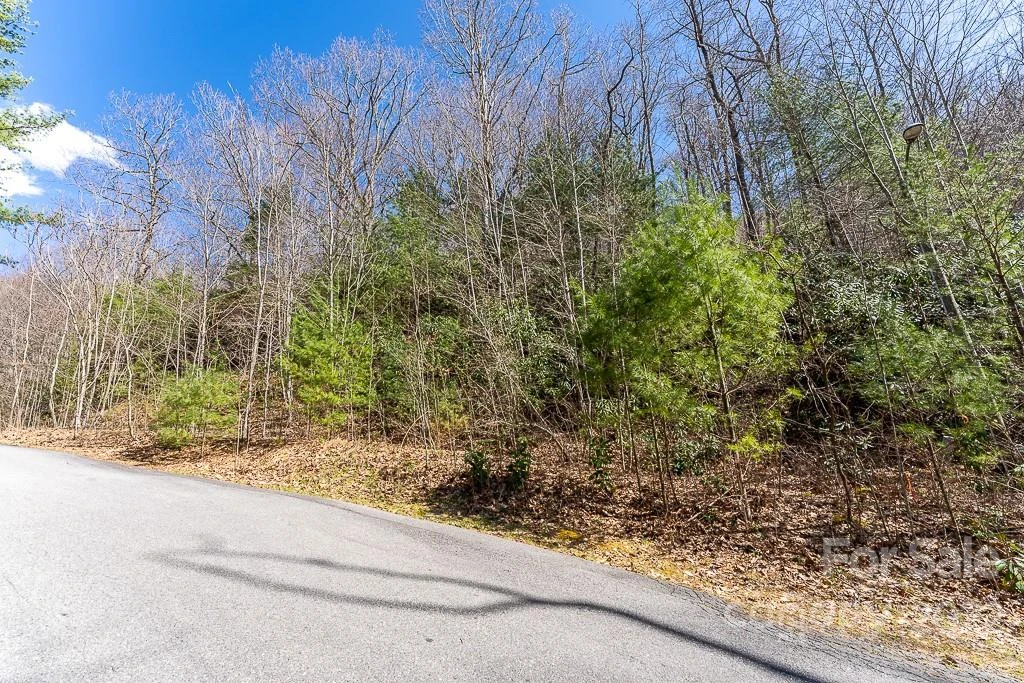 99999 Bartlett Mountain Road #11A - Photo 6
