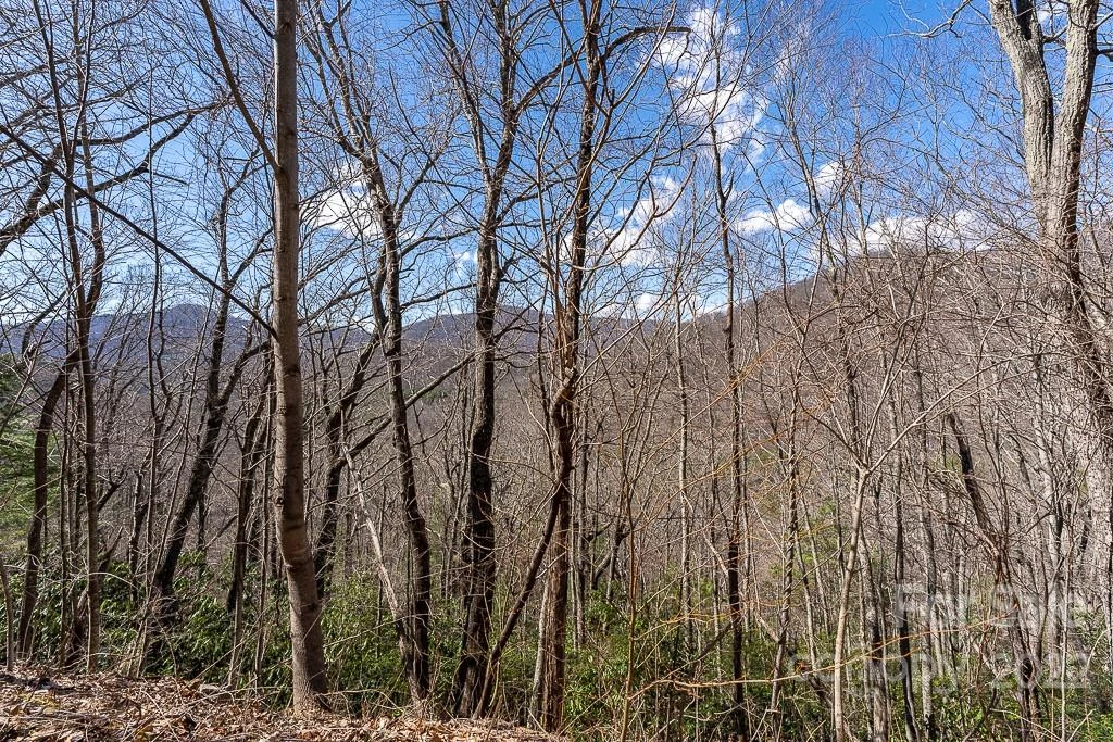 99999 Bartlett Mountain Road #11A - Photo 7
