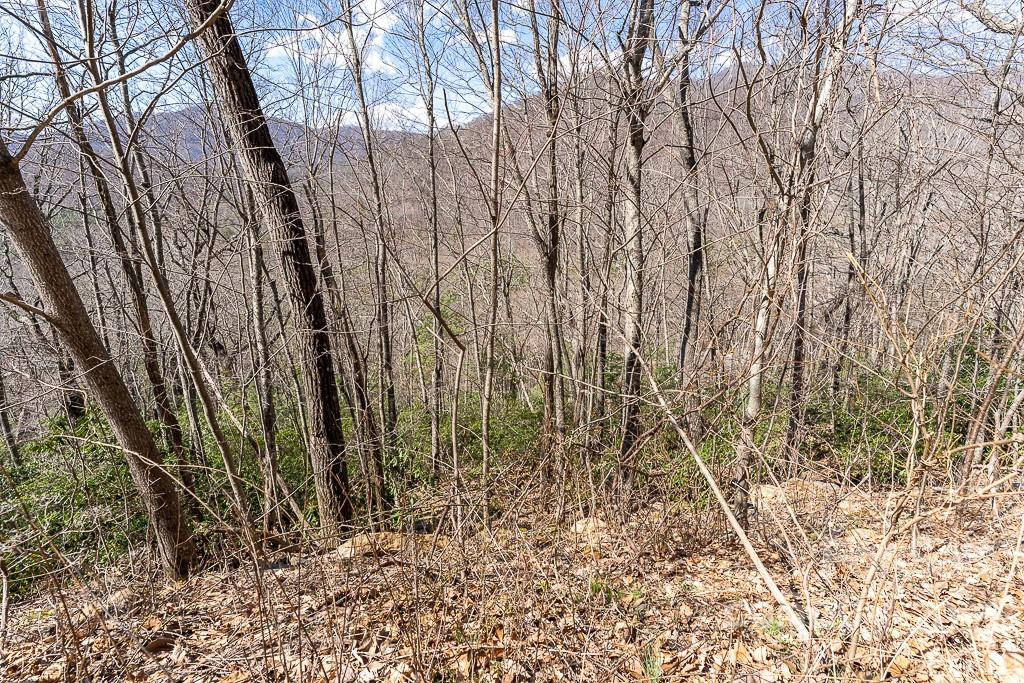 99999 Bartlett Mountain Road #11A - Photo 8