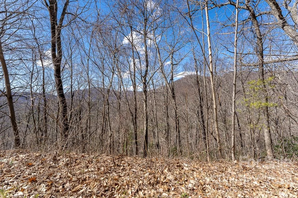 99999 Bartlett Mountain Road #11A - Photo 9