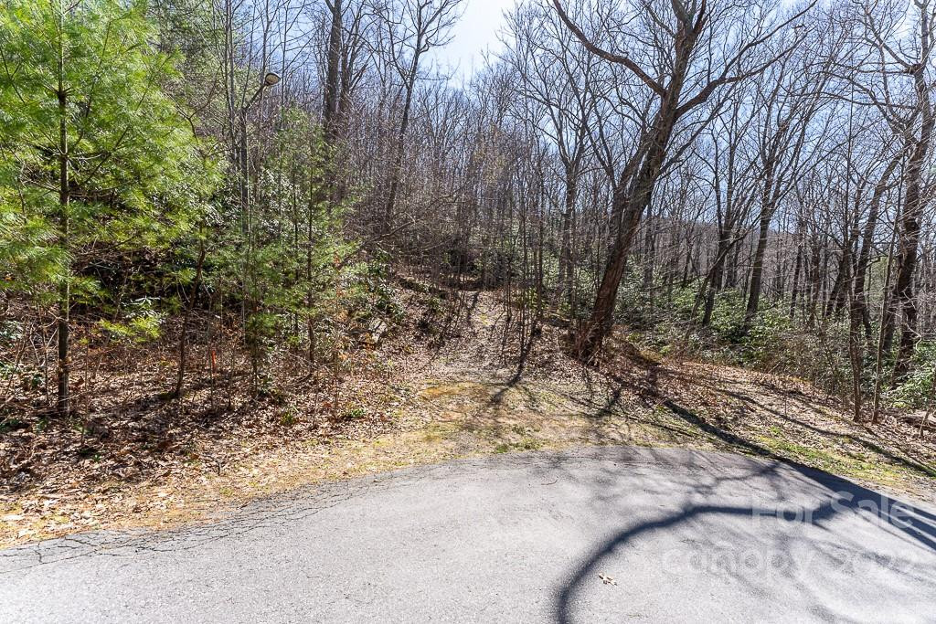 99999 Bartlett Mountain Road #12 - Photo 12