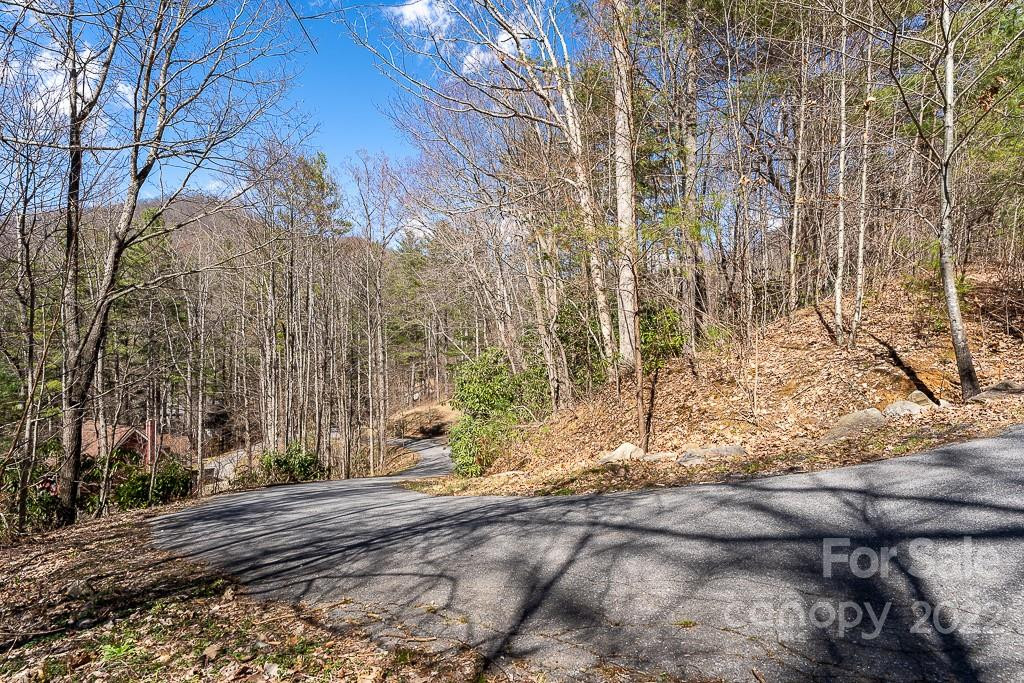 99999 Bartlett Mountain Road #12 - Photo 13