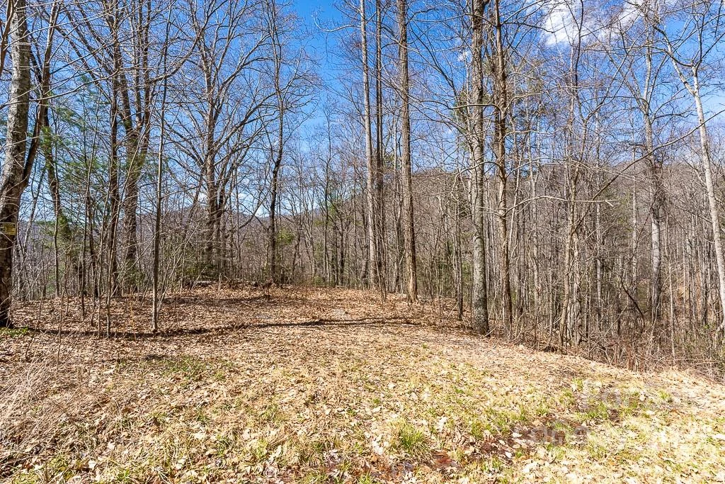 99999 Bartlett Mountain Road #12 - Photo 18