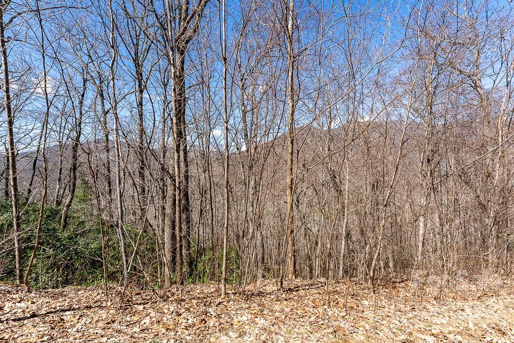 99999 Bartlett Mountain Road #12 - Photo 22