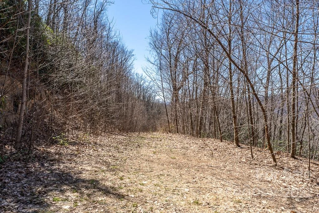 99999 Bartlett Mountain Road #12 - Photo 27