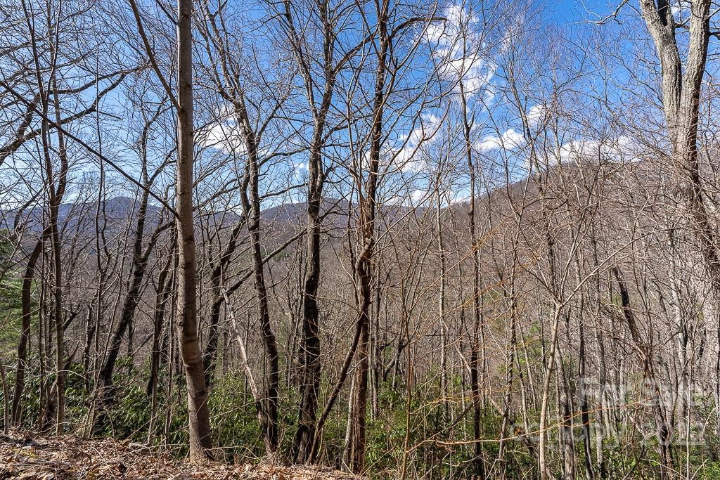 99999 Bartlett Mountain Road #14 - Photo 7