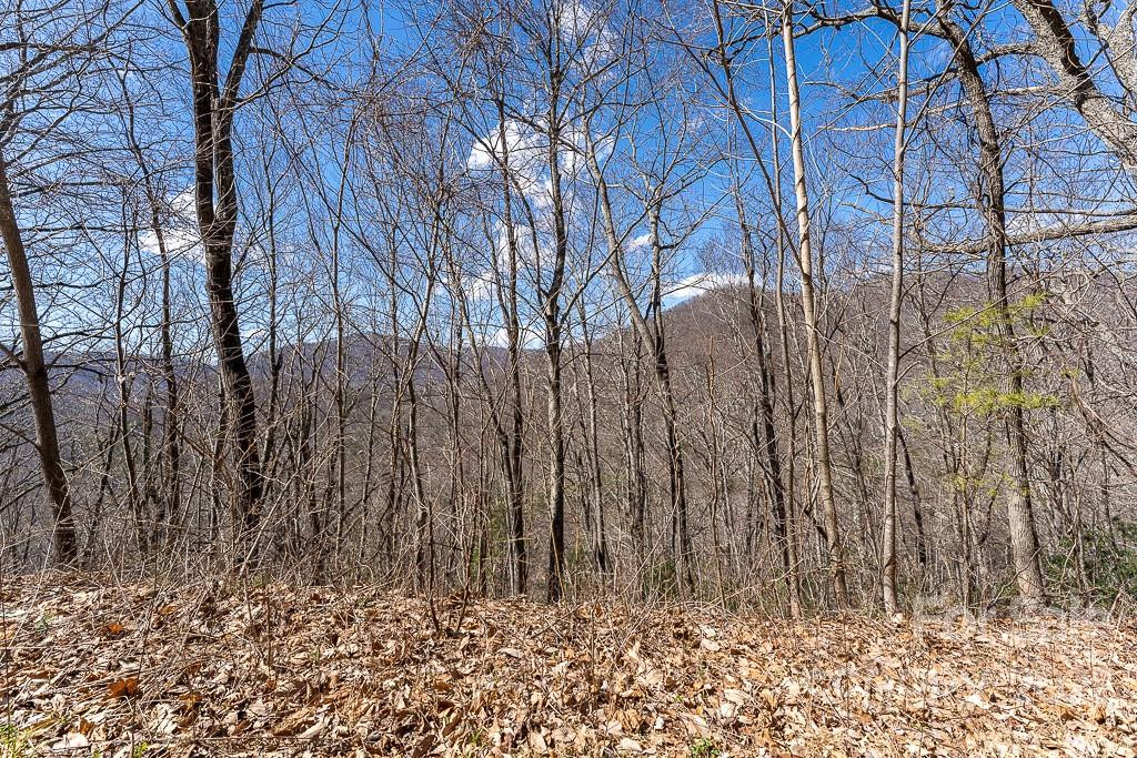 99999 Bartlett Mountain Road #14 - Photo 9