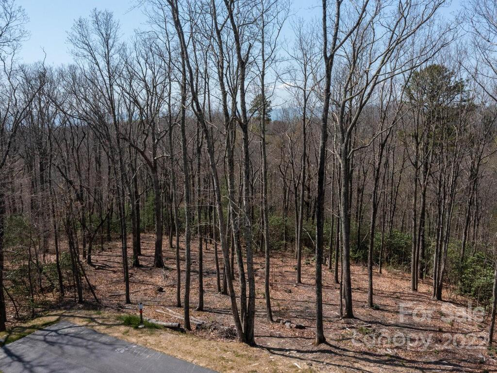 148 Spring Song Lane #6 - Photo 2