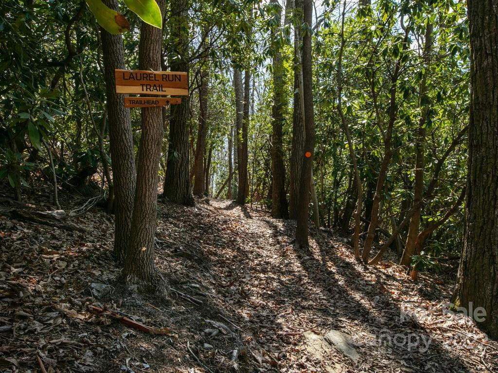 148 Spring Song Lane #6 - Photo 15