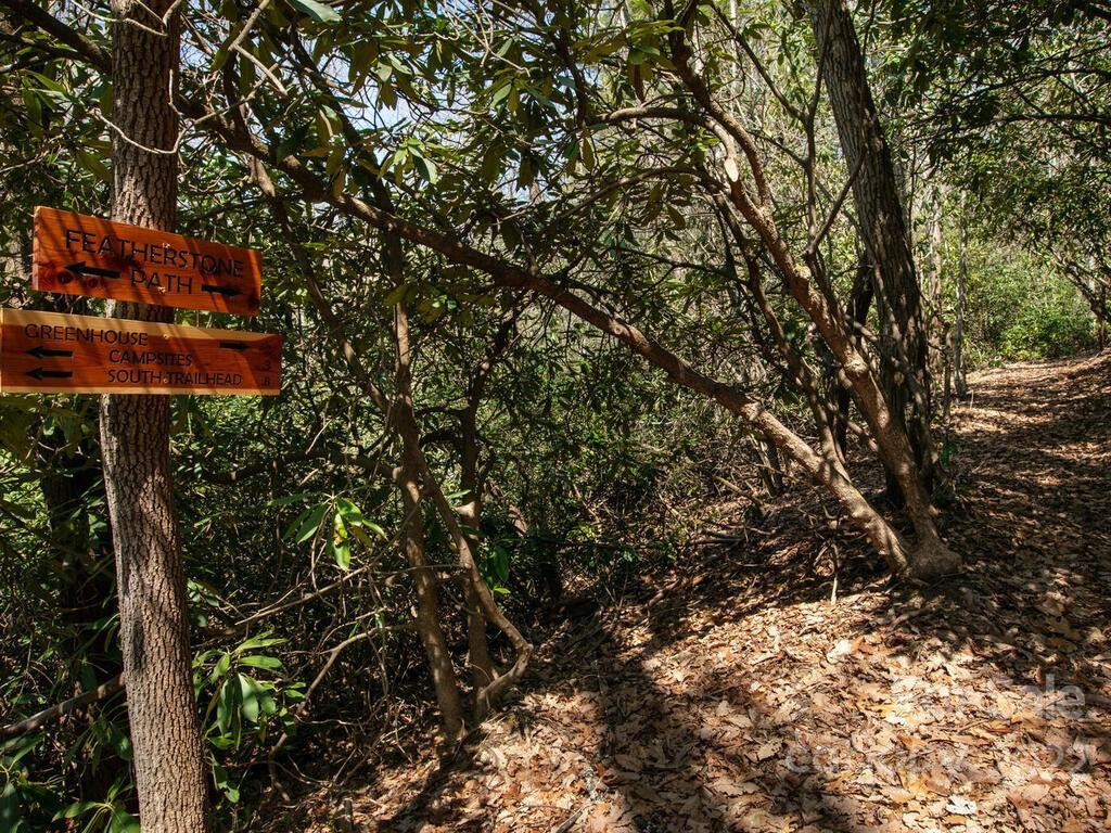 148 Spring Song Lane #6 - Photo 16