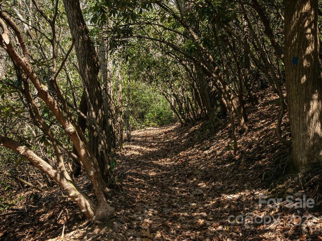 148 Spring Song Lane #6 - Photo 17