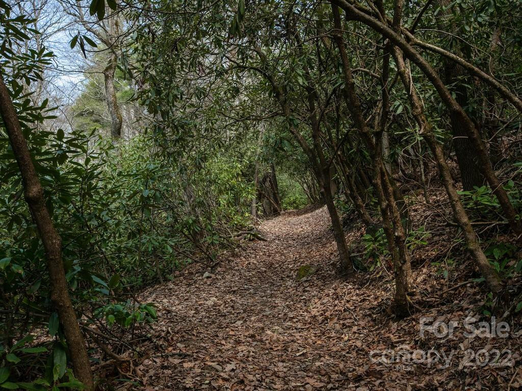 148 Spring Song Lane #6 - Photo 18