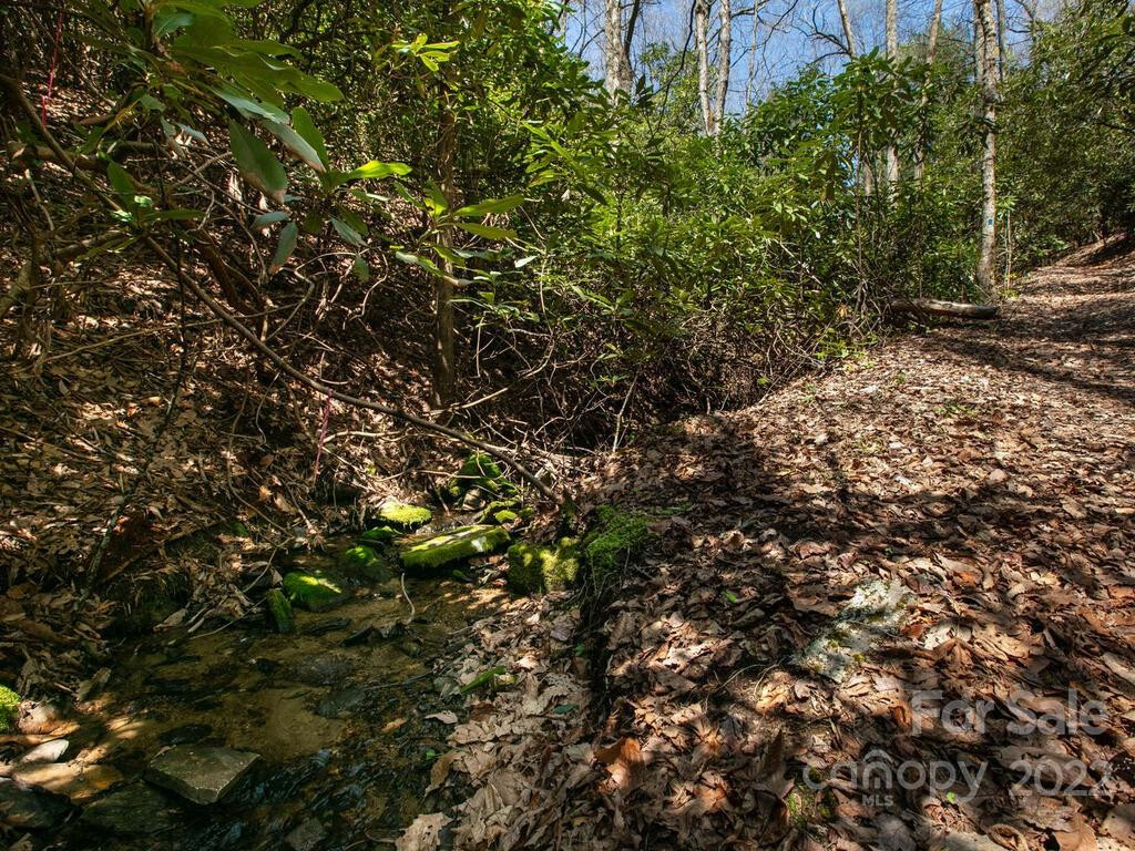 148 Spring Song Lane #6 - Photo 20