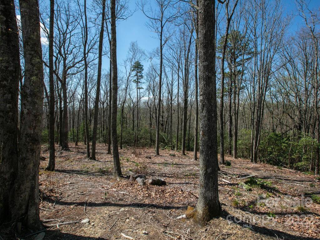 148 Spring Song Lane #6 - Photo 3