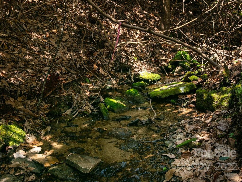 148 Spring Song Lane #6 - Photo 21