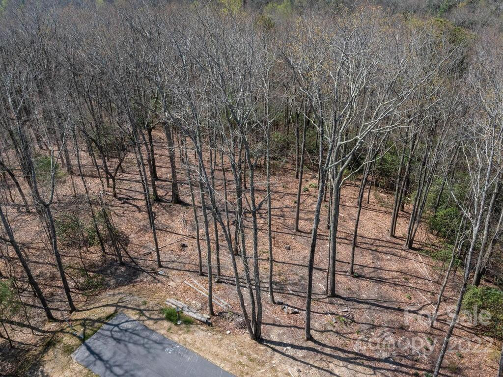 148 Spring Song Lane #6 - Photo 4