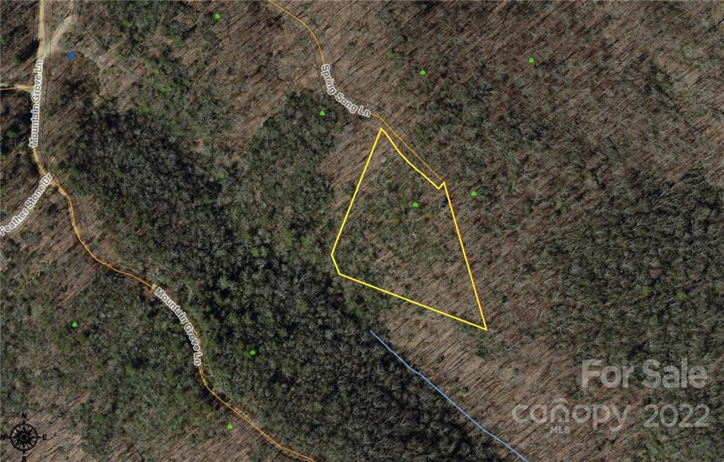 148 Spring Song Lane #6 - Photo 8